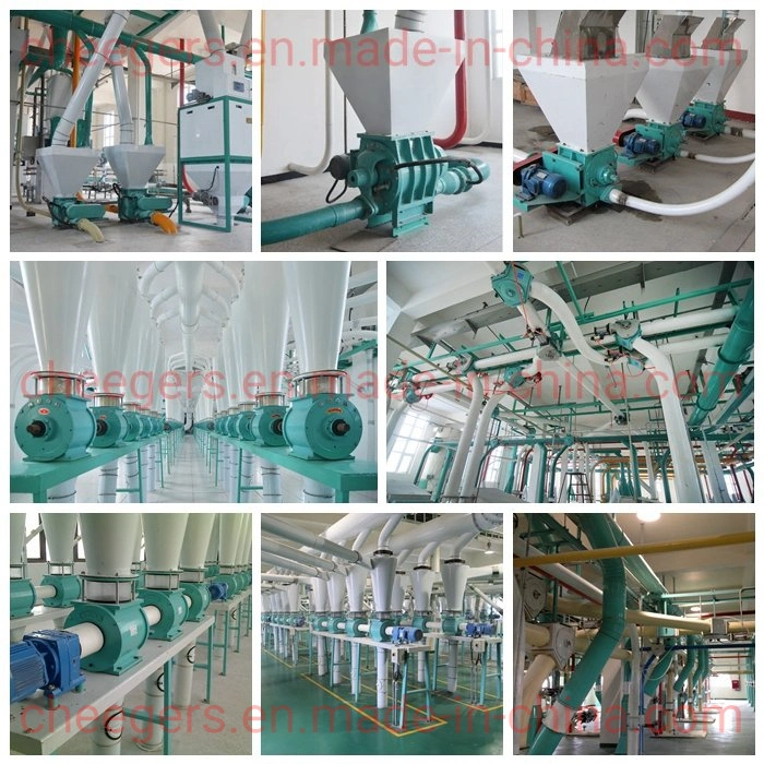 Pneumatic Conveying Type SS304 Rotary Airlock Feeder