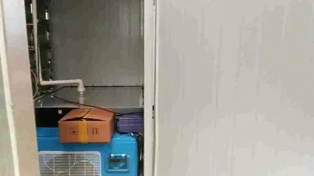 200kg/d 수경 콩나물 재배 시스템